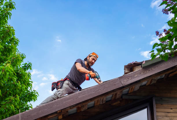 Best Steel Roofing  in Hawaiian Paradise Park, HI